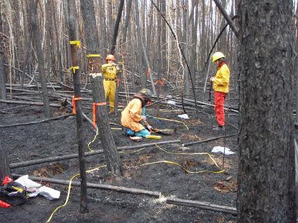 Wildfires 2